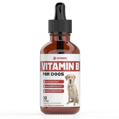 iVitamins Vitamin B for Dogs bacon flavor bottle pour supports easy dosing