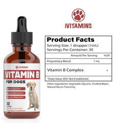 iVitamins Vitamin B for Dogs bacon flavor dropper delivers fast absorption
