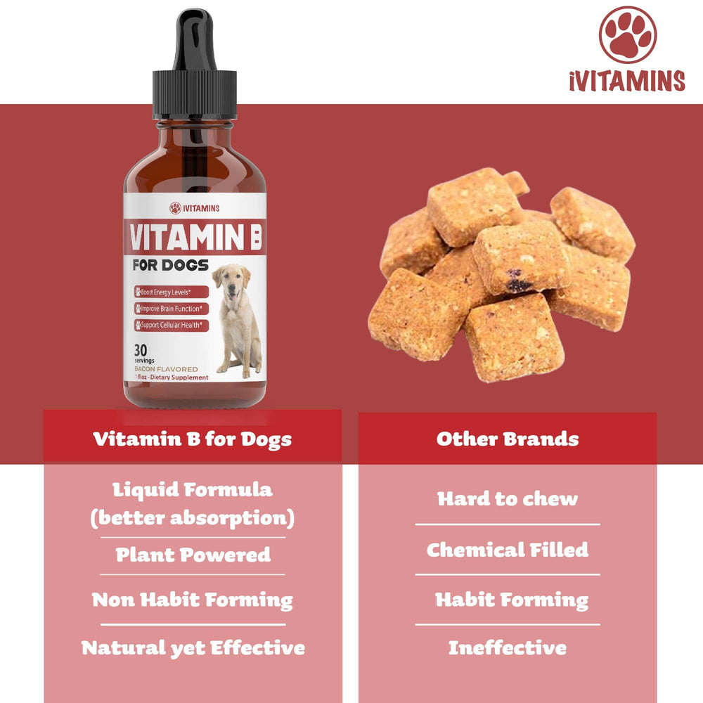 iVitamins Vitamin B for Dogs brain support drops for focus
