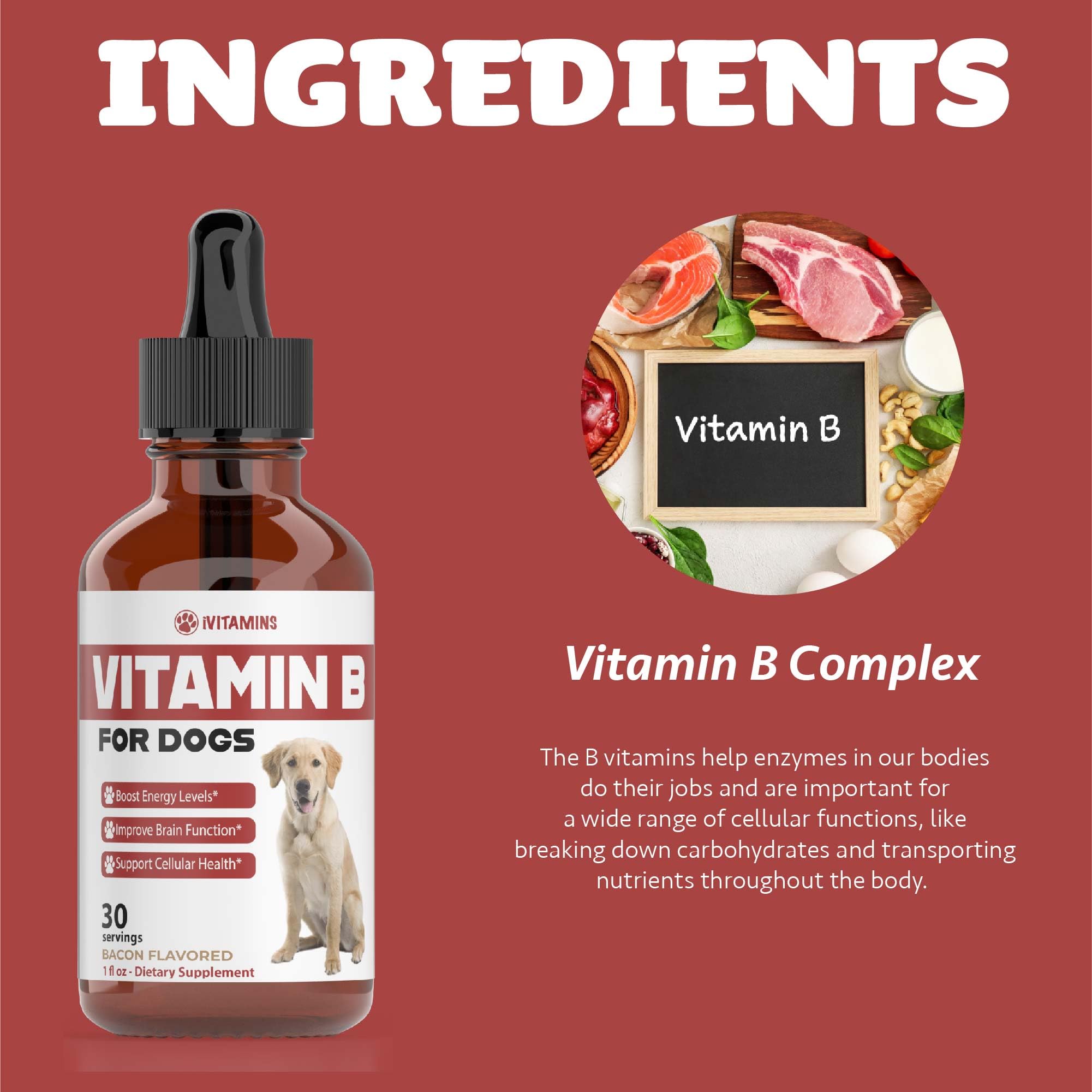 iVitamins Vitamin B for Dogs cruelty-free drops for ethical care