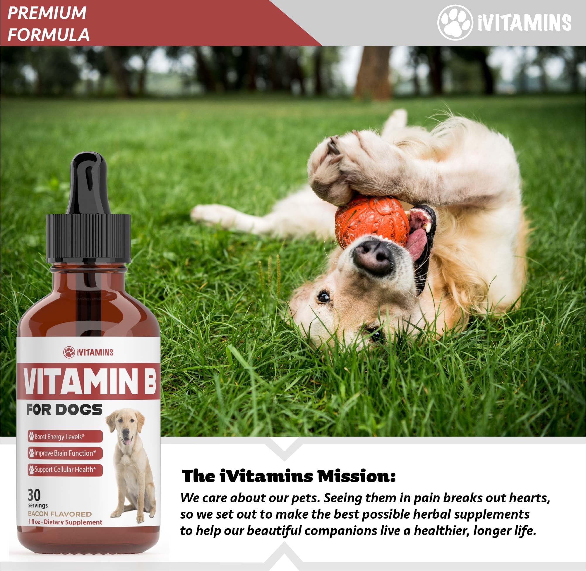 iVitamins Vitamin B for Dogs easy-to-use bottle for on-the-go dosing