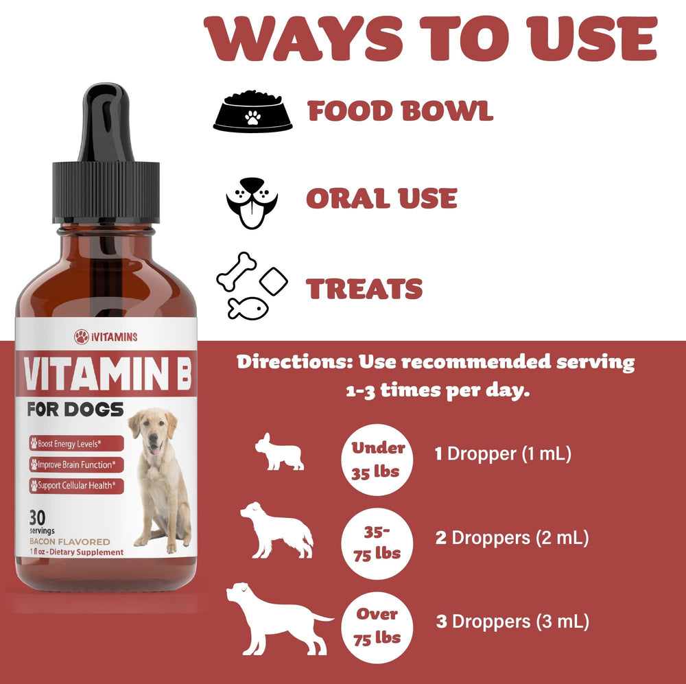 iVitamins Vitamin B for Dogs USA-made formula with pride