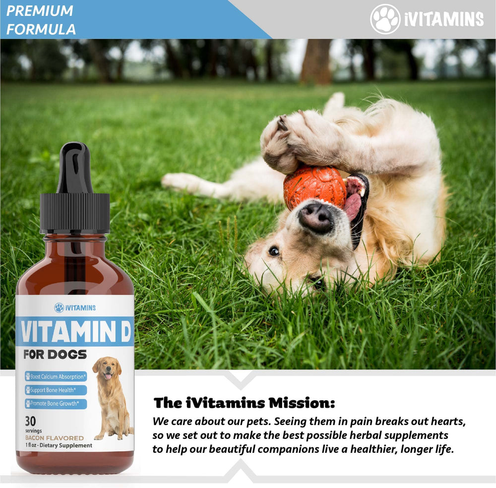 iVitamins Vitamin D for Dogs cruelty-free formula for pet wellbeing