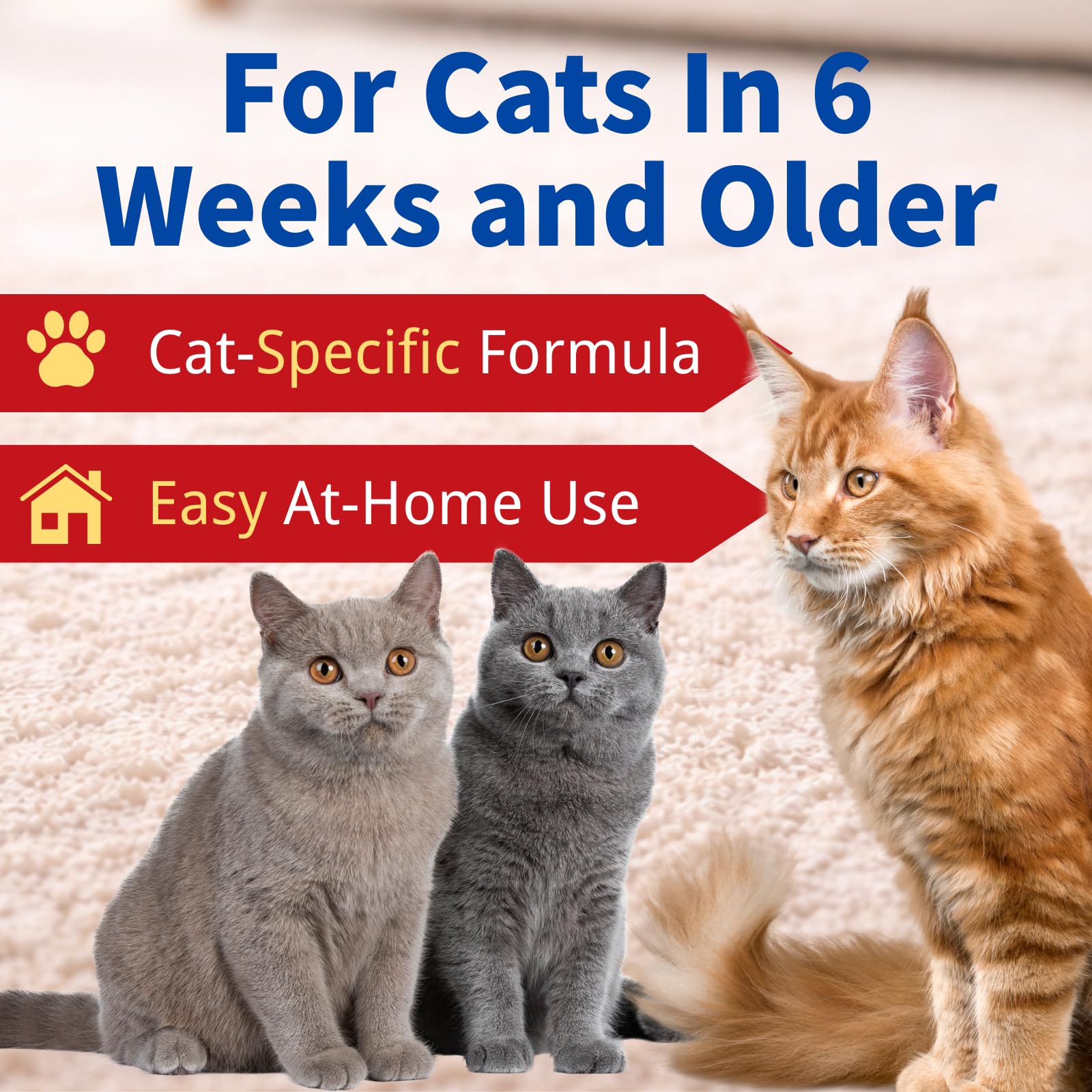 IVULTRA cat care at home use scene – supports routine pet wellness.