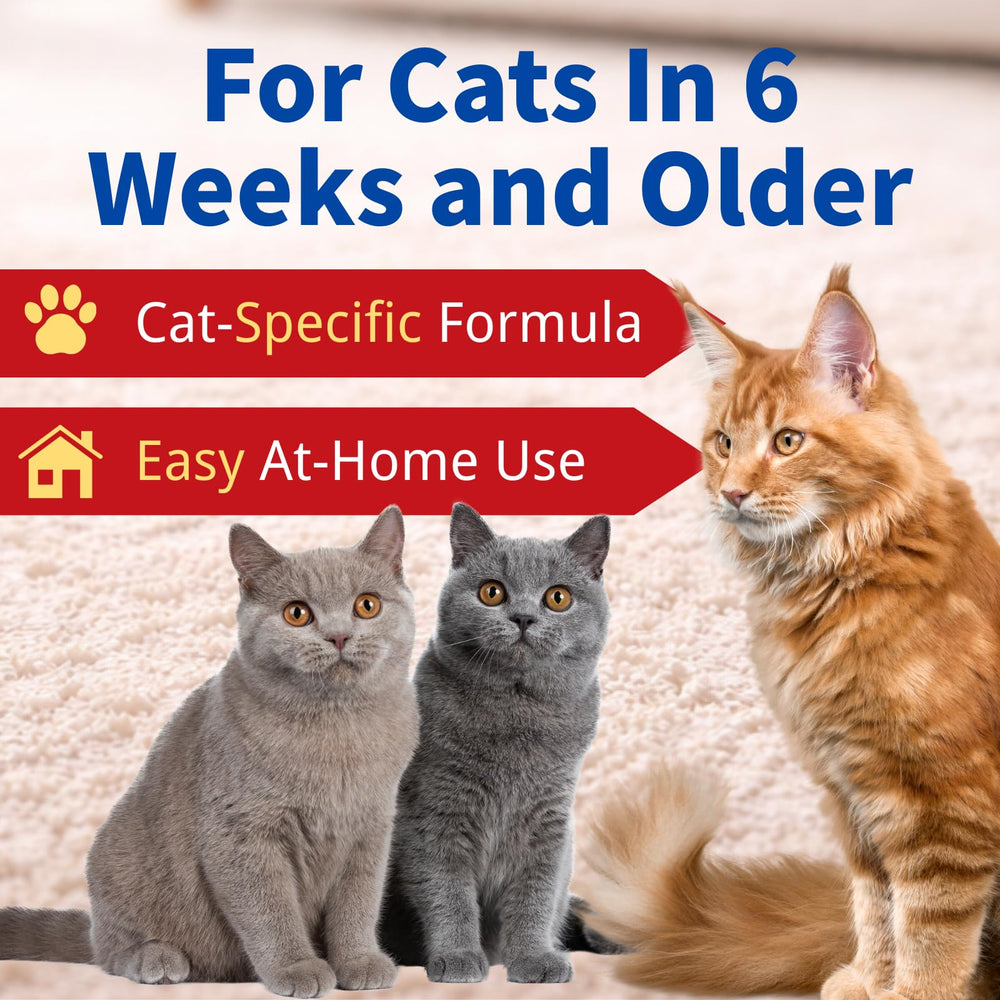 IVULTRA cat care at home use scene – supports routine pet wellness.