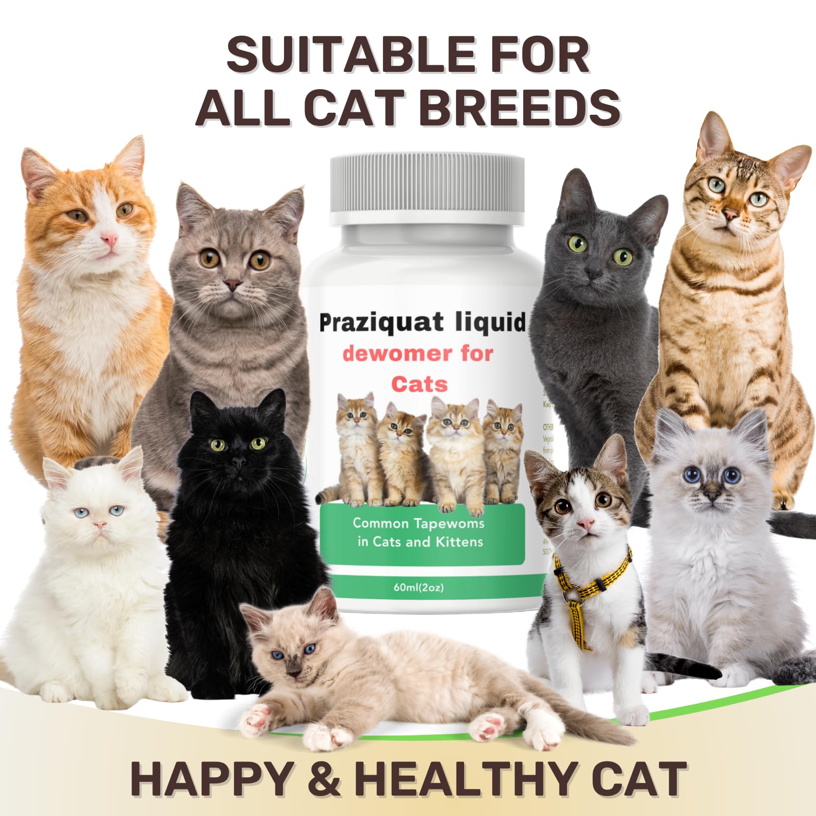 IVULTRA cat gut health concept image showing supportive digestive health
