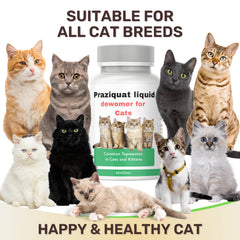 IVULTRA cat gut health concept image showing supportive digestive health