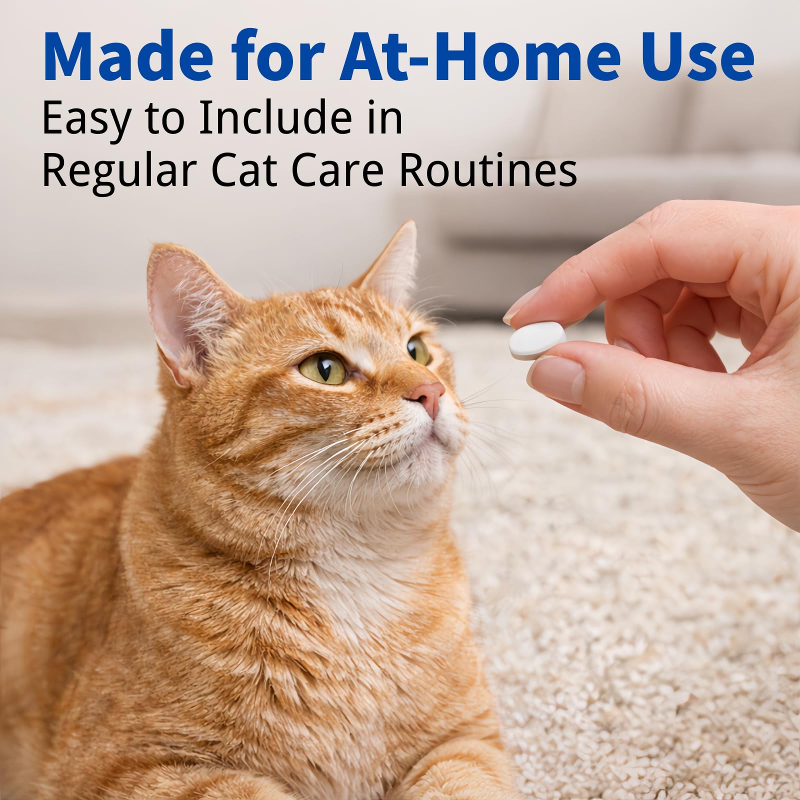 IVULTRA chewable tablet close-up – simple dosing for busy pet owners.