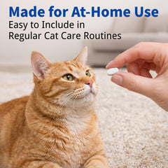 IVULTRA chewable tablet close-up – simple dosing for busy pet owners.