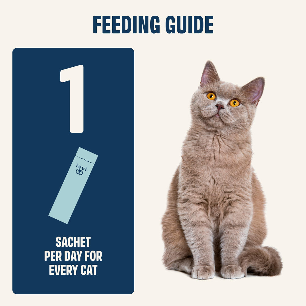 ivvi real tuna cats sachets convey tasty supplement option