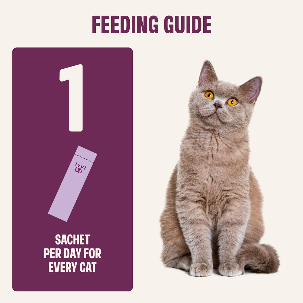 ivvi Relax for Cats no artificial additives close-up emphasizes natural ingredients.
