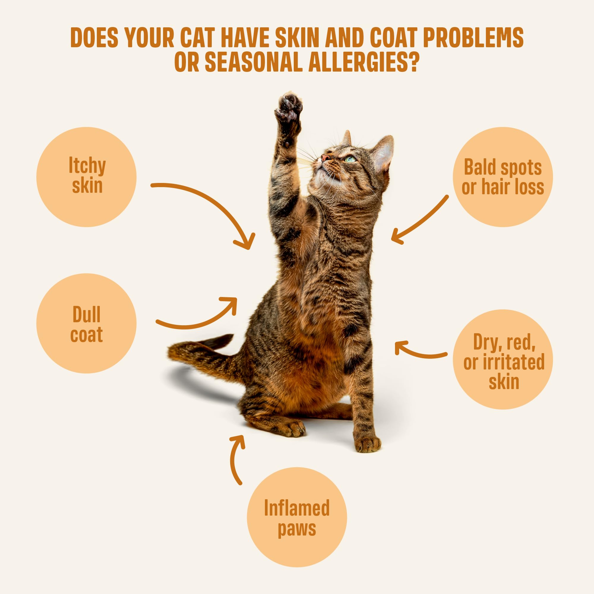 ivvi Skin & Coat for Cats zinc, collagen, biotin nourish the coat from within.