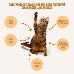 ivvi Skin & Coat for Cats zinc, collagen, biotin nourish the coat from within.