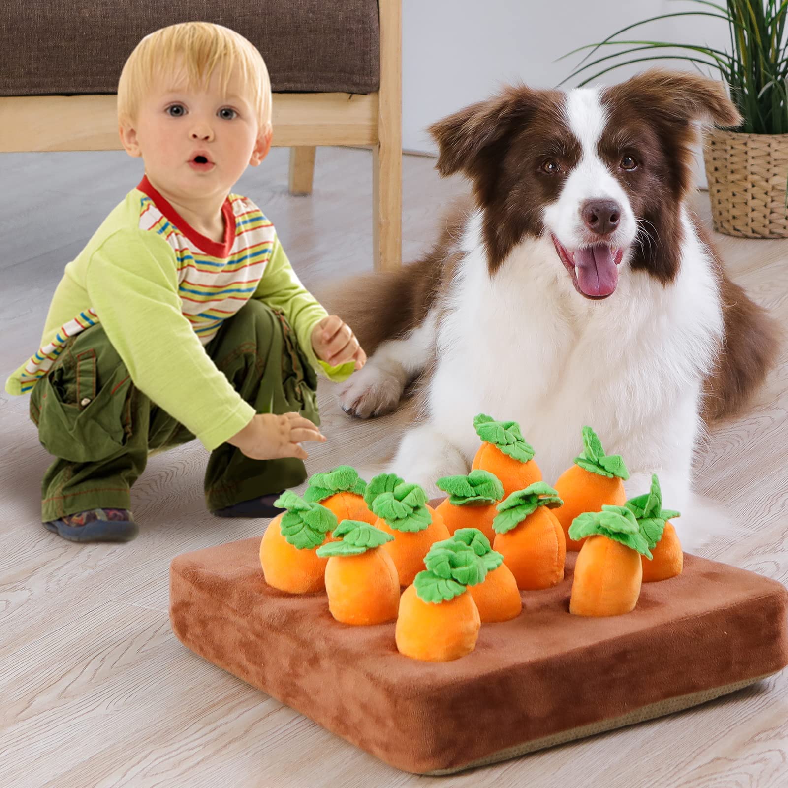 IVVIQQ indoor enrichment for rainy days or apartment living.