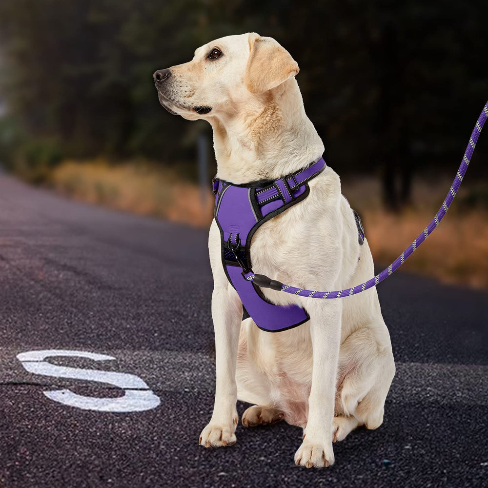 IVY&amp;LANE Dog harness with leash and storage strap for organized outings