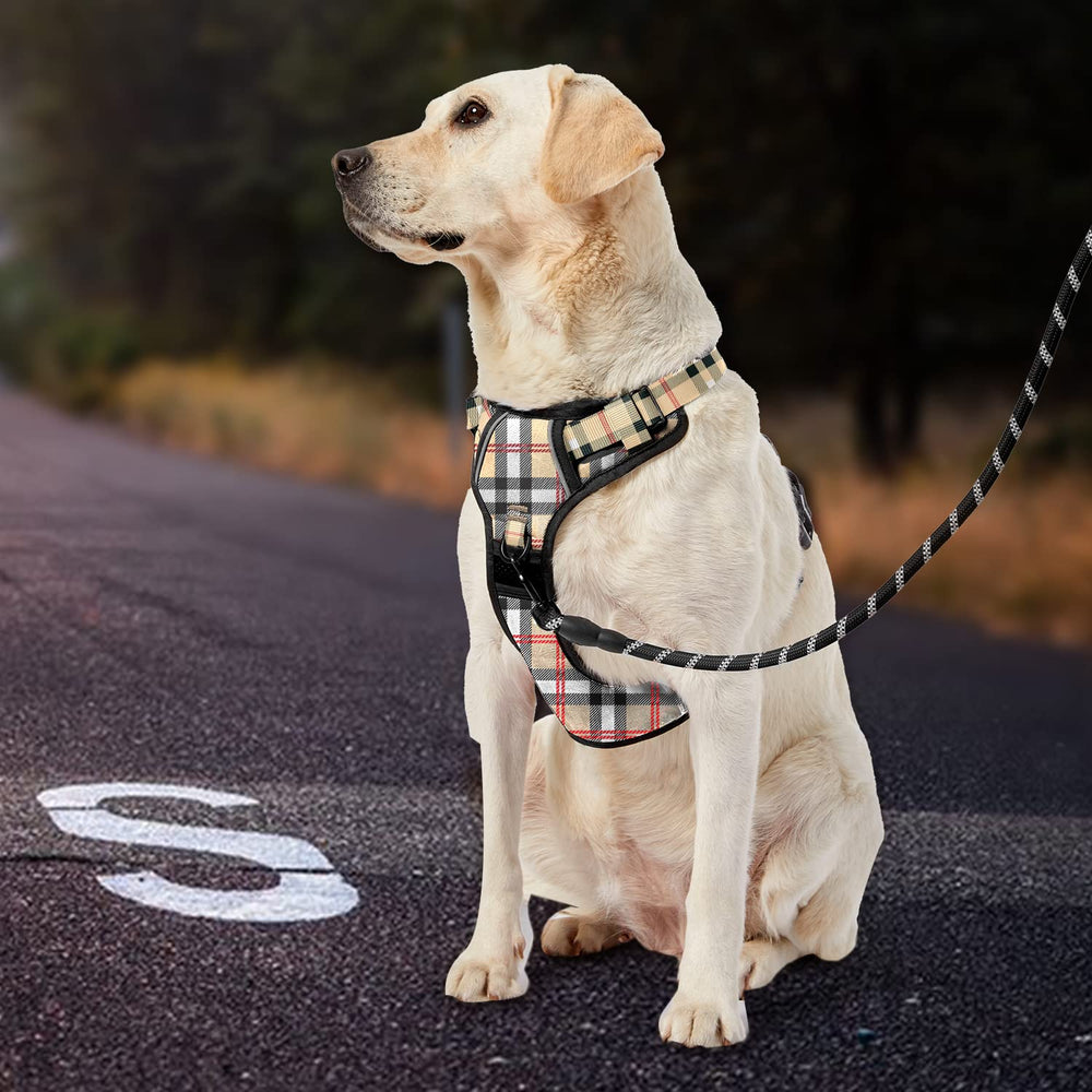 IVY&LANE Adjustable straps on harness for a secure fit