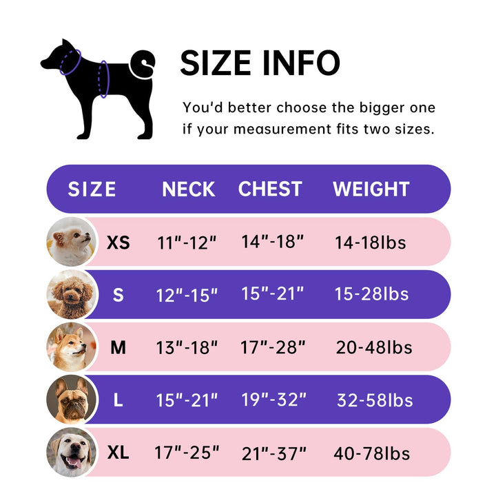 IVY&LANE Fully adjustable small-dog harness with secure chest support and comfortable fit.
