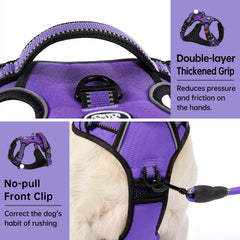 IVY&LANE Soft-handle for gentle control during outings.