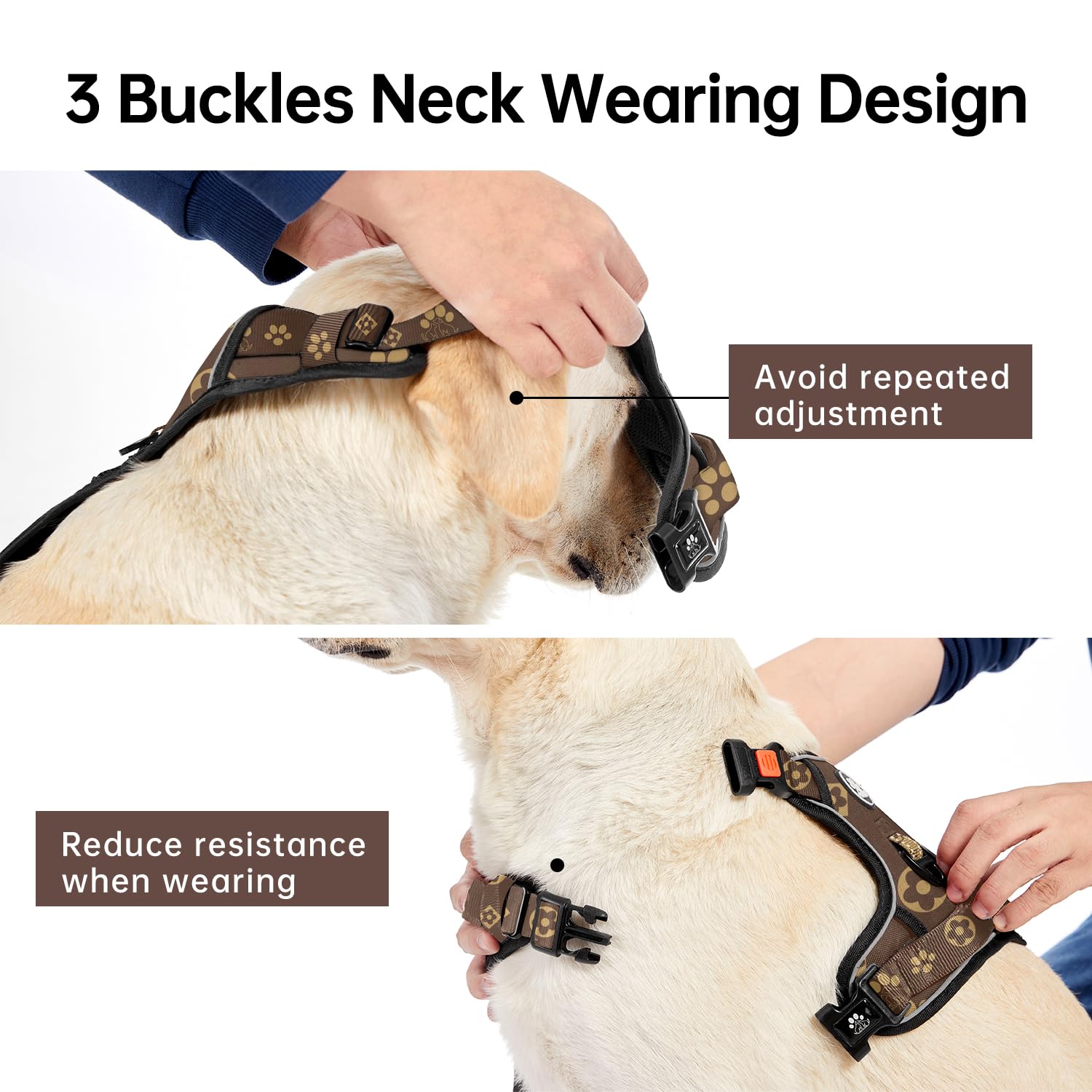 IVY&LANE Adjustable Four-Webbing Harness ensures a snug, even fit.