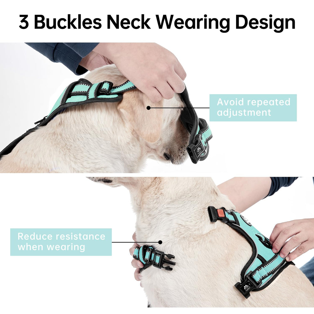 IVY&LANE adjustable webbing harness turquoise fits securely and comfortably