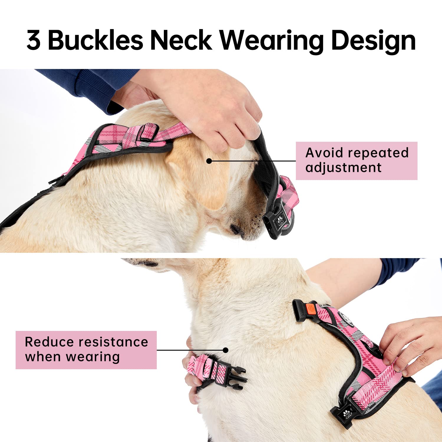 IVY&LANE adjustable webbing for a snug, customizable fit