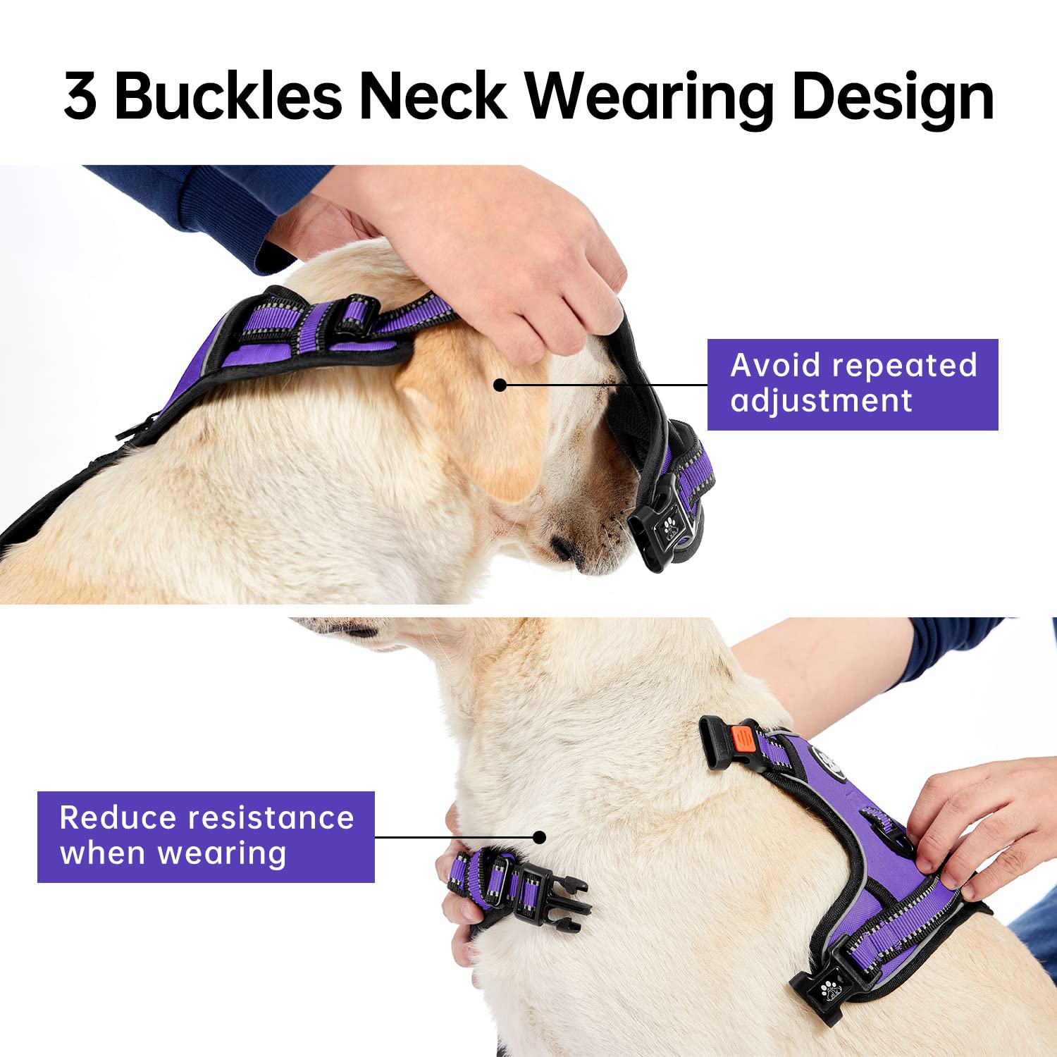 IVY&LANE adjustable webbing ensures a snug, comfortable fit.