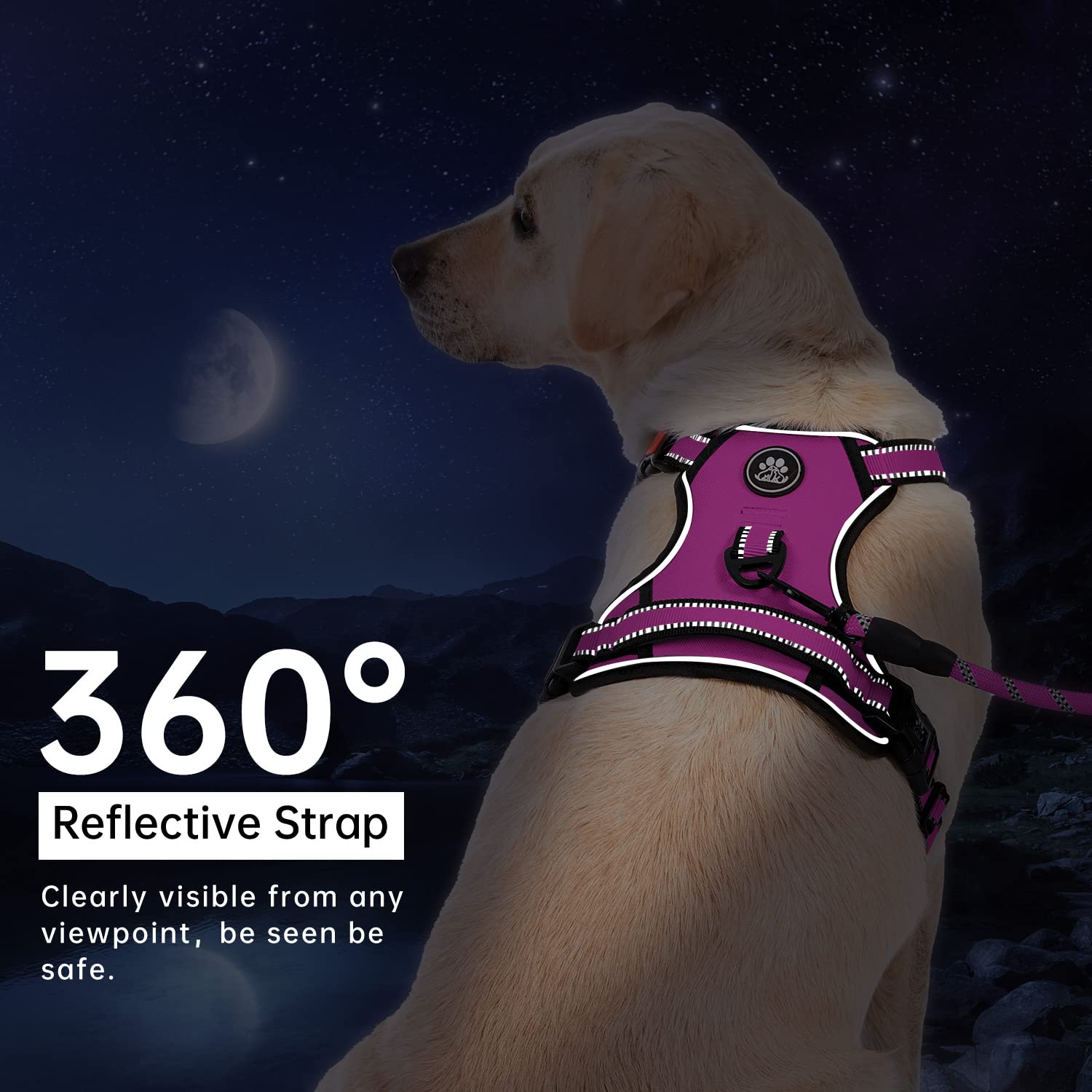IVY&LANE included leash, seatbelt, and storage strap for convenience