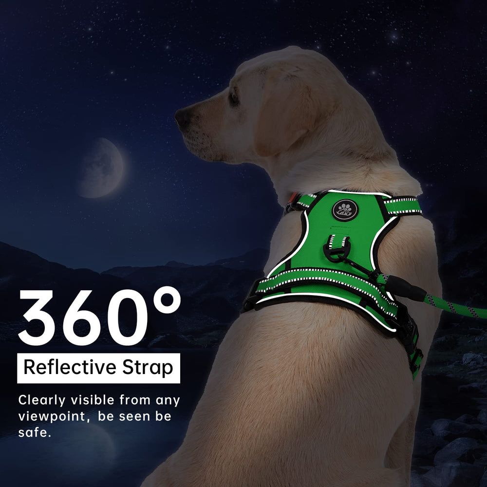 IVY&LANE Harness storage strap for organized outings
