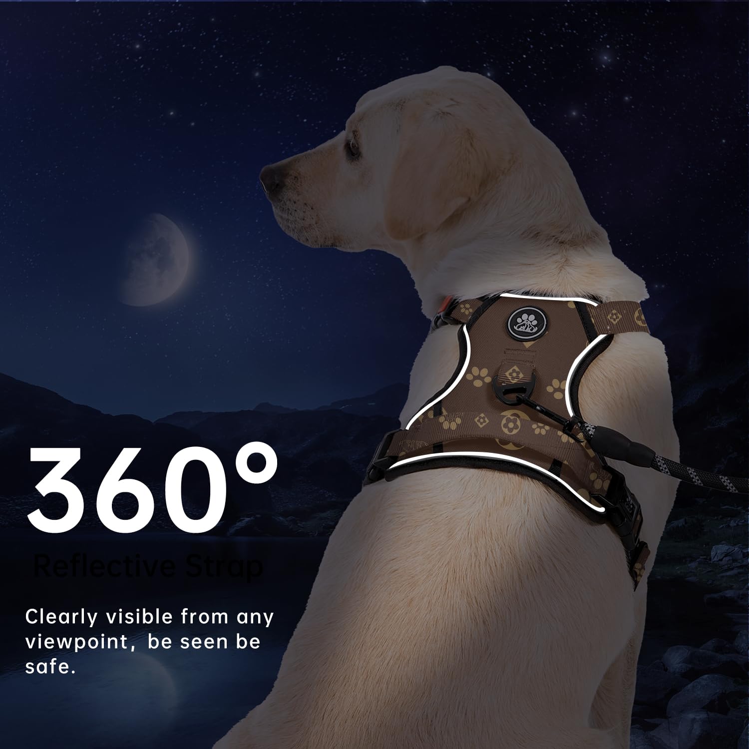 IVY&LANE Leash and Storage Strap set for convenient organization.