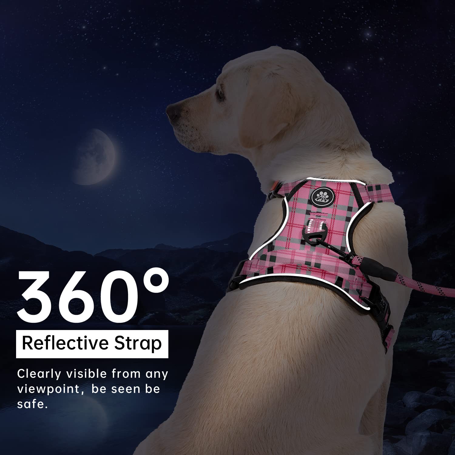 IVY&LANE leash and storage strap included in the set