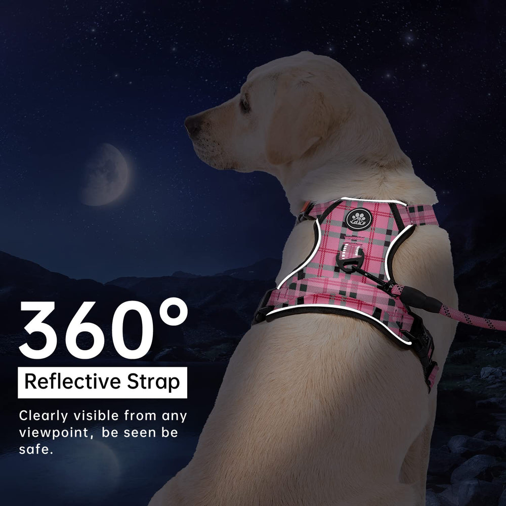 IVY&LANE leash and storage strap included in the set
