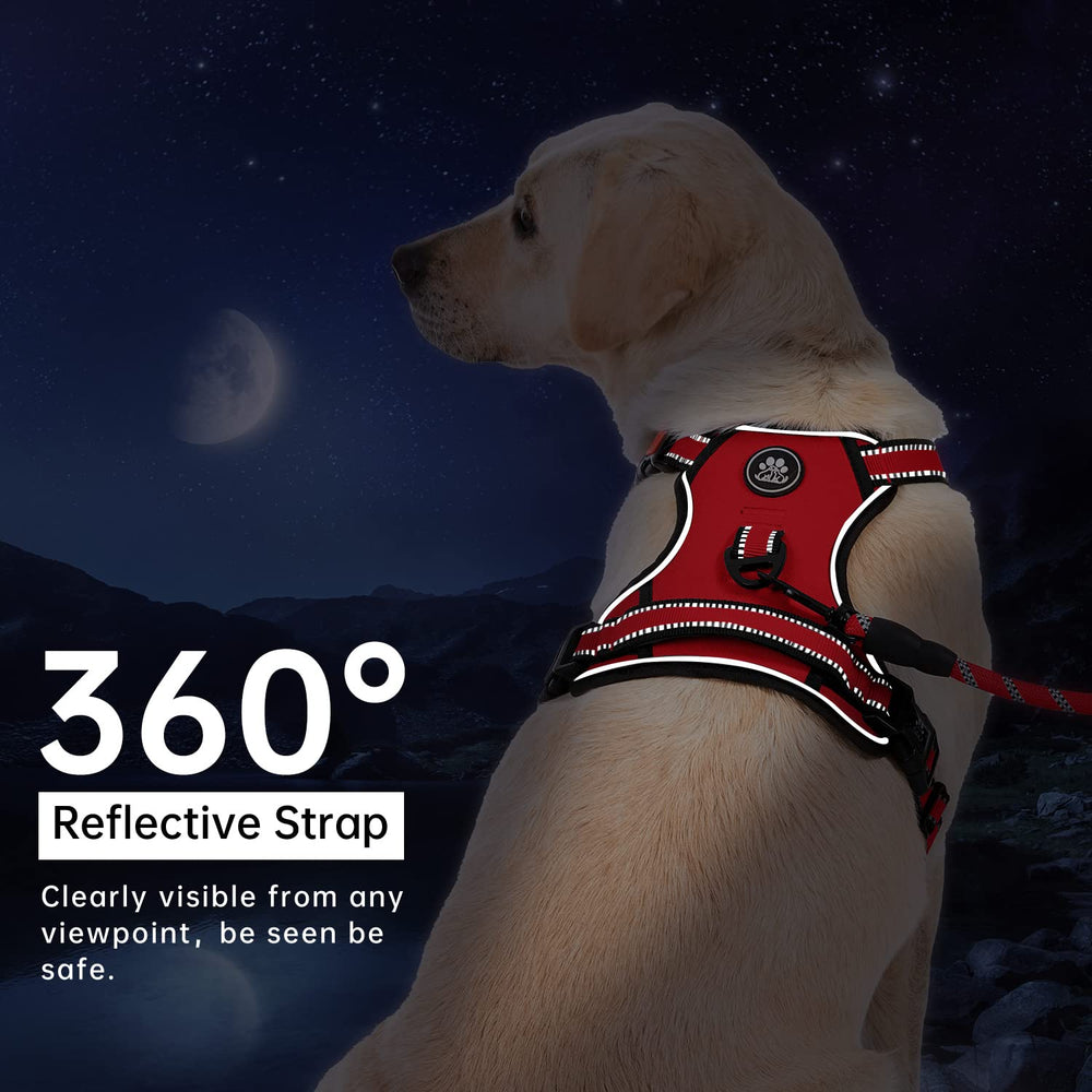 IVY&LANE 4-point adjustable straps ensure a secure, chafe-free fit