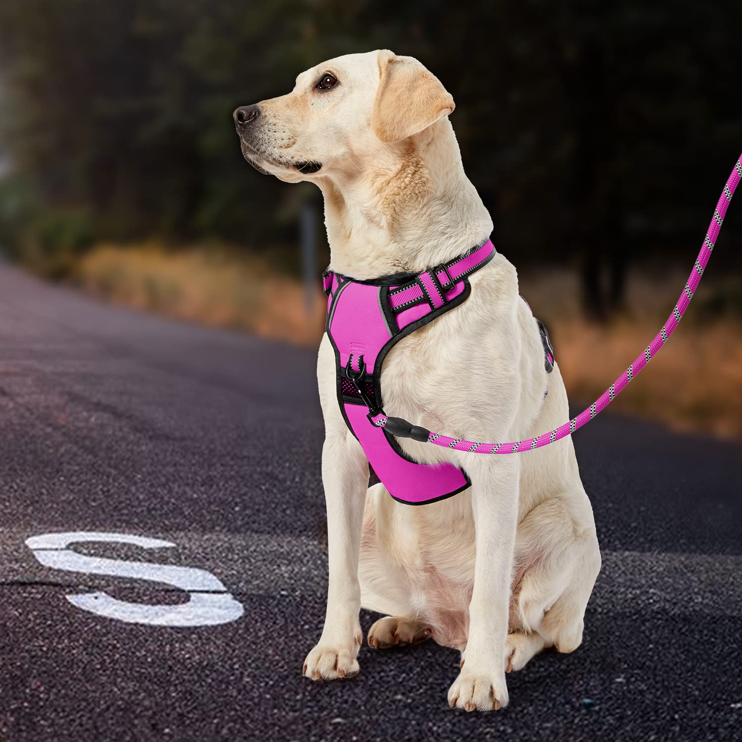 IVY&LANE adjustable straps provide a comfortable, customizable fit