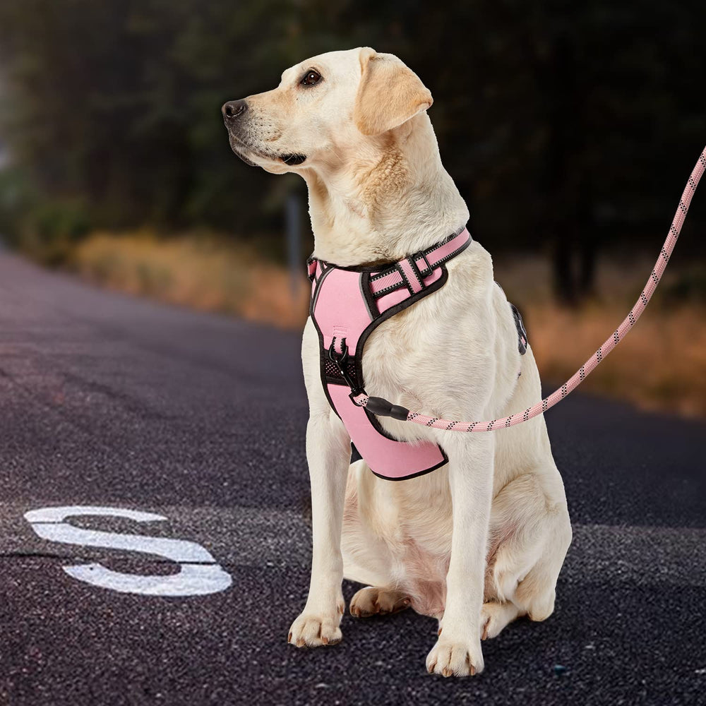 IVY&LANE No Pull Harness leash and storage strap set for organized walks