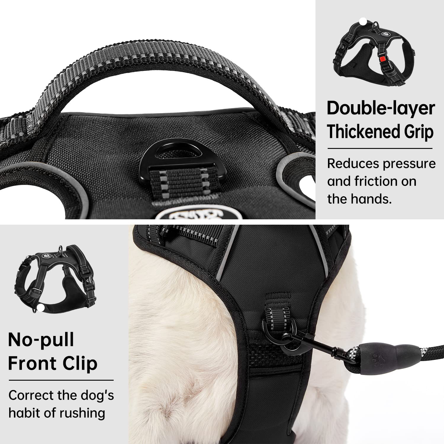 IVY&LANE harness with leash storage strap for organized walks