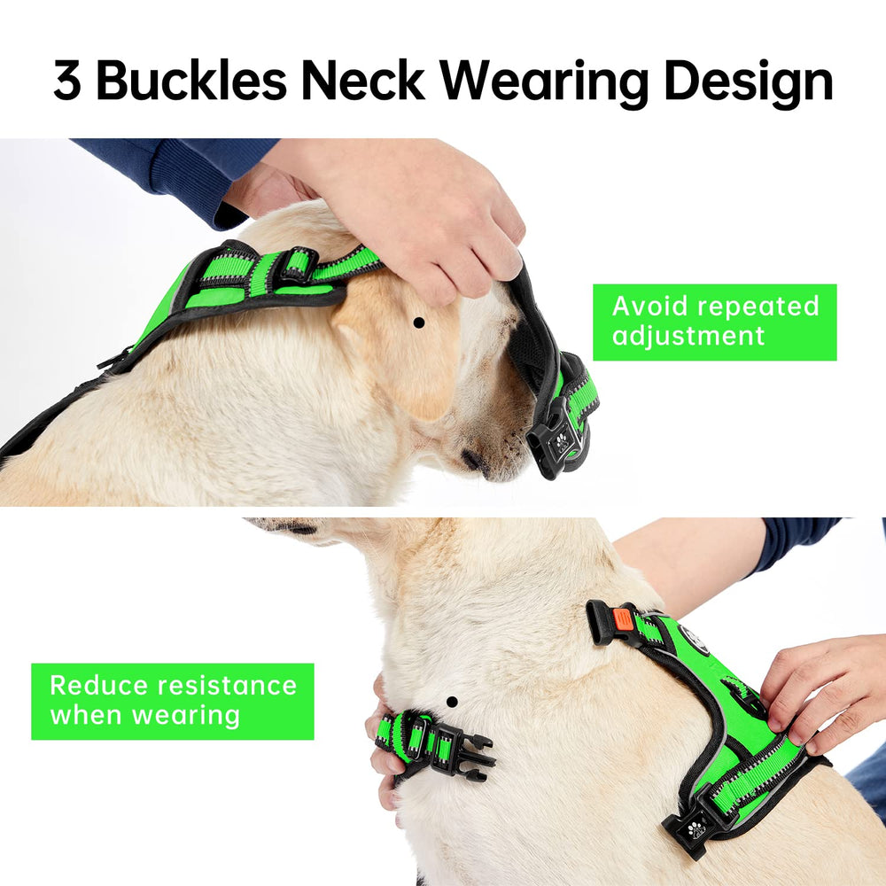 IVY&LANE No Pull Harness reflective strip boosts visibility in low light