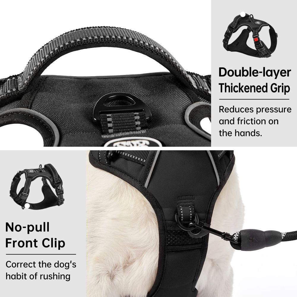 IVY&LANE soft handle provides gentle guidance during nervous or excited moments.