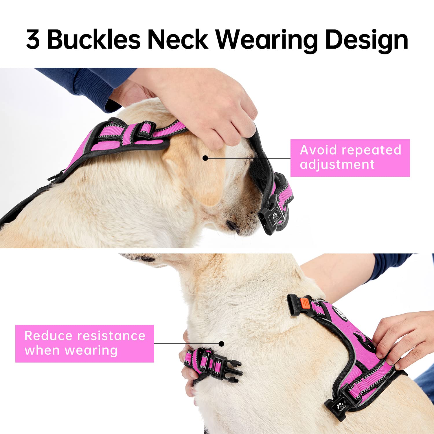 IVY&LANE soft handle offers gentle control on crowded sidewalks