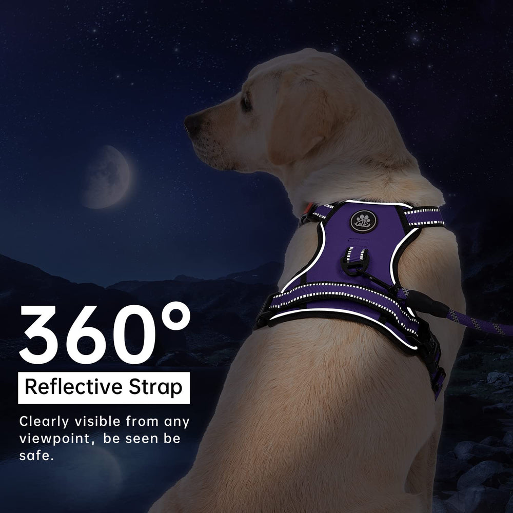 IVY&LANE reflective strip around harness for night visibility