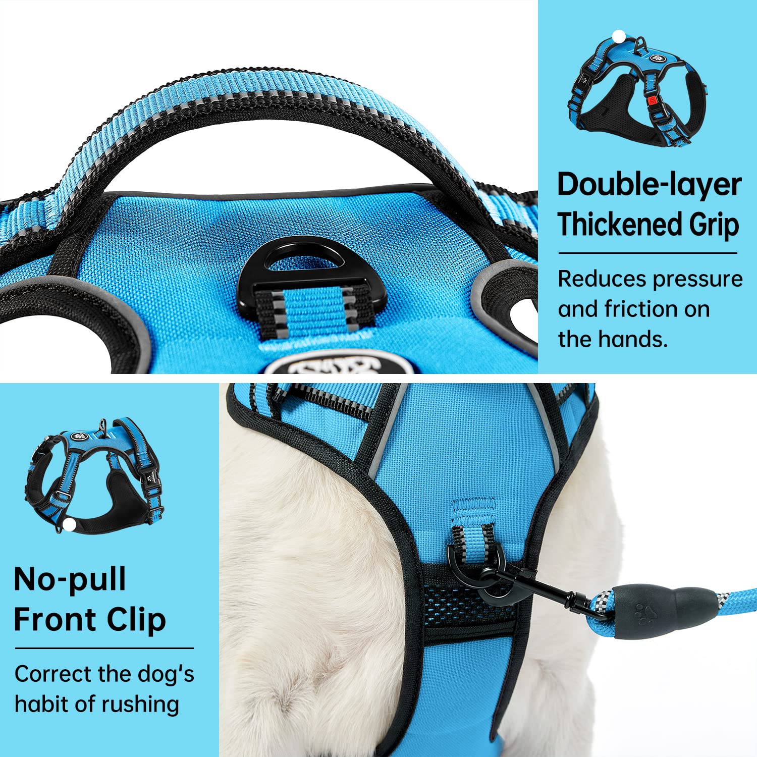 IVY&LANE blue harness adjustable webbing to customize chest fit.