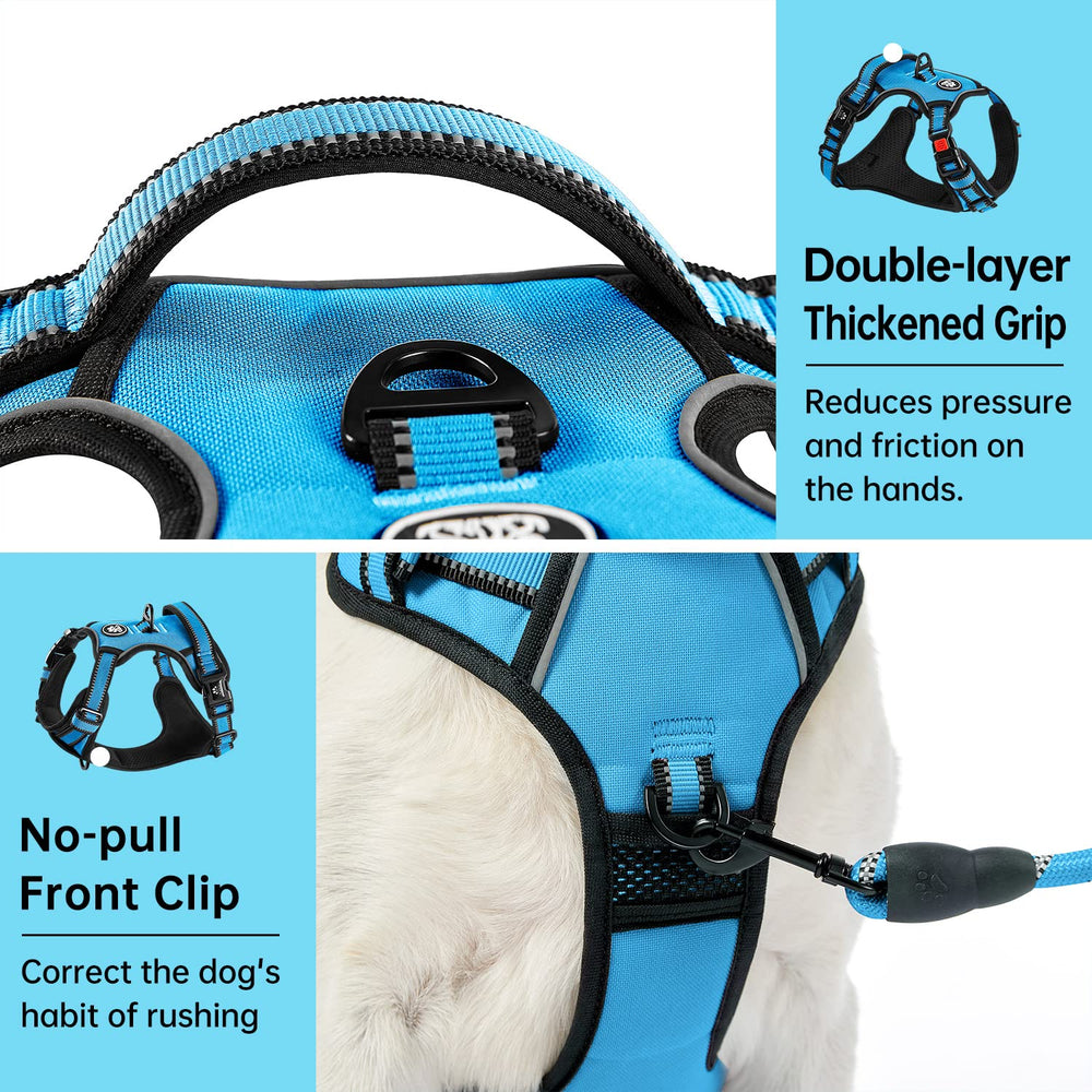 IVY&LANE blue harness adjustable webbing to customize chest fit.
