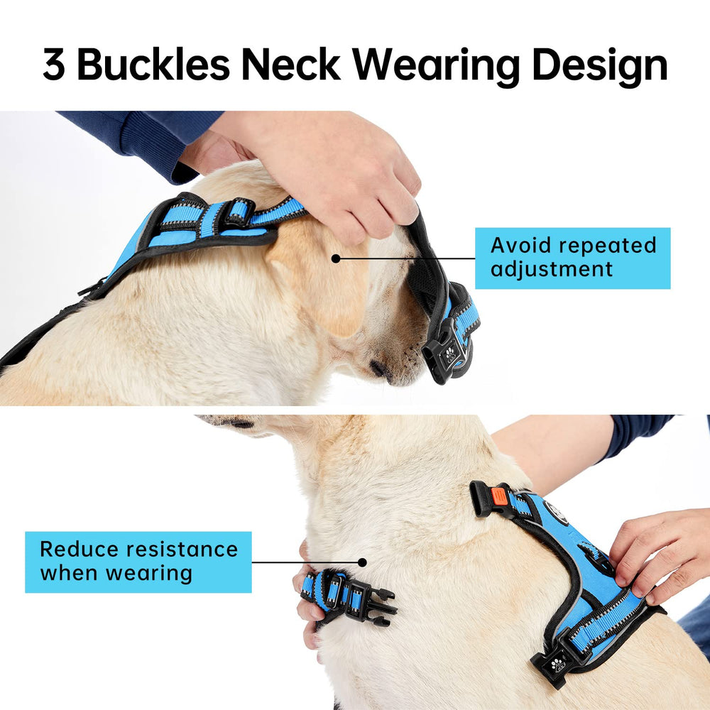 IVY&LANE blue harness features a soft handle for secure control in crowds.