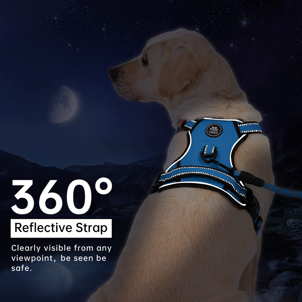 IVY&LANE blue harness with storage strap kit for tidy travel and organization.