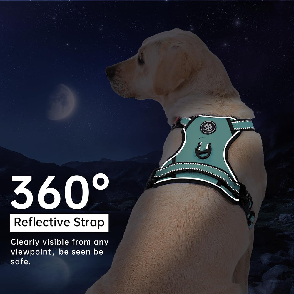 IVY&LANE turquoise harness with reflective strips for night visibility.