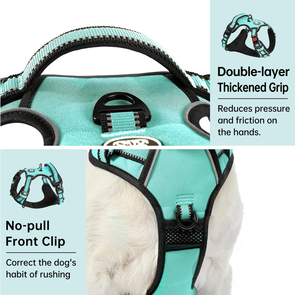 IVY&LANE storage strap in turquoise keeps accessories organized.