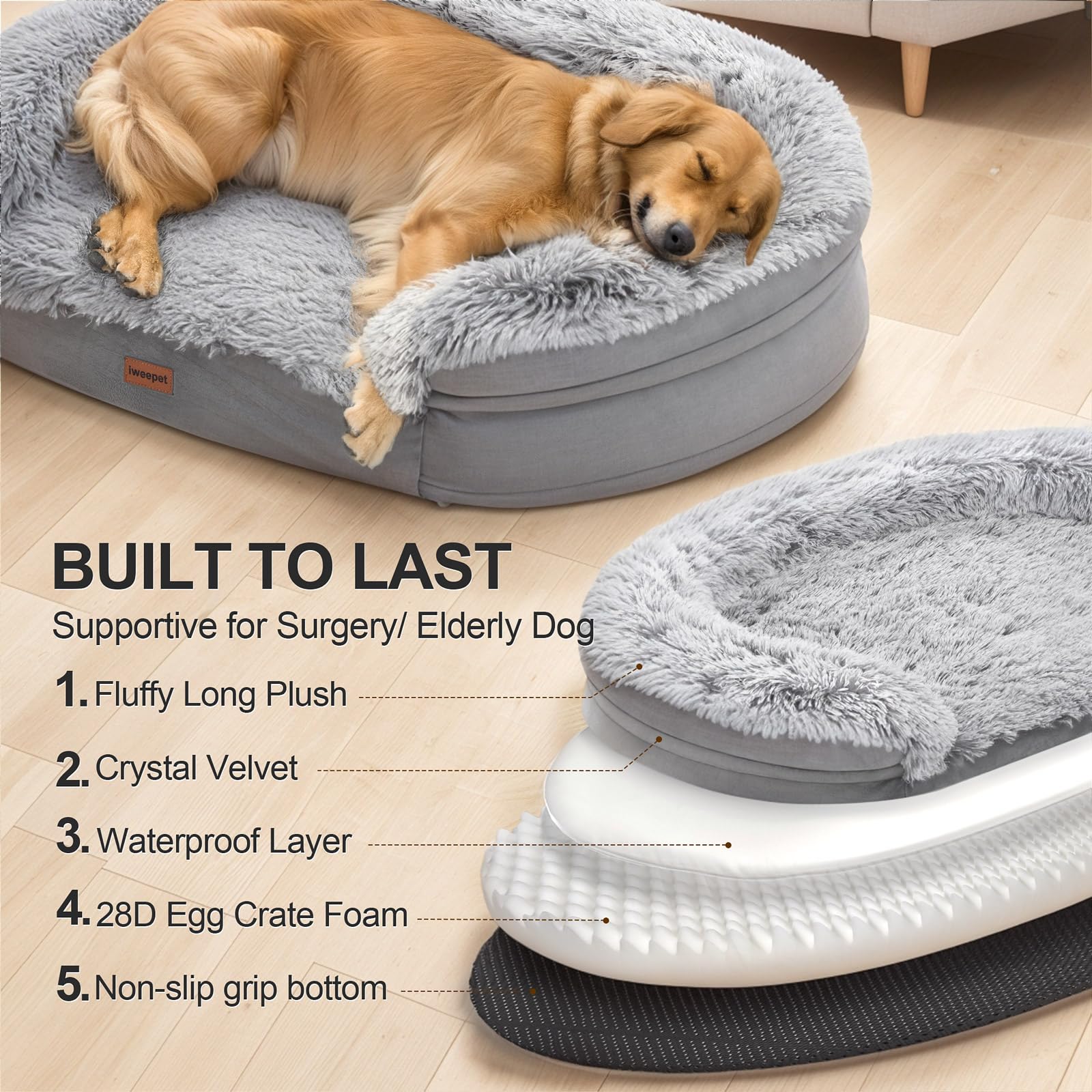 Iweepet dog resting peacefully on plush bed shows comfort.