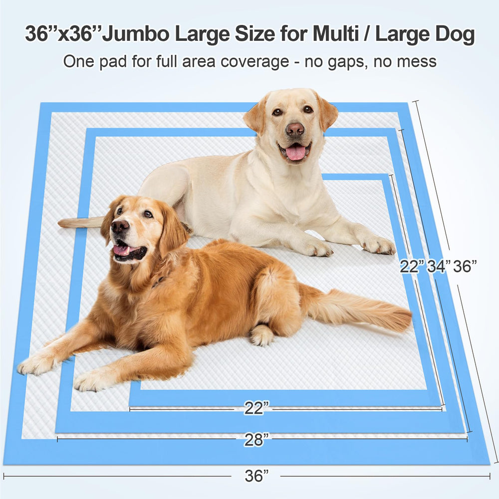 iweepet fast-drying surface keeps the pad dry and comfortable.