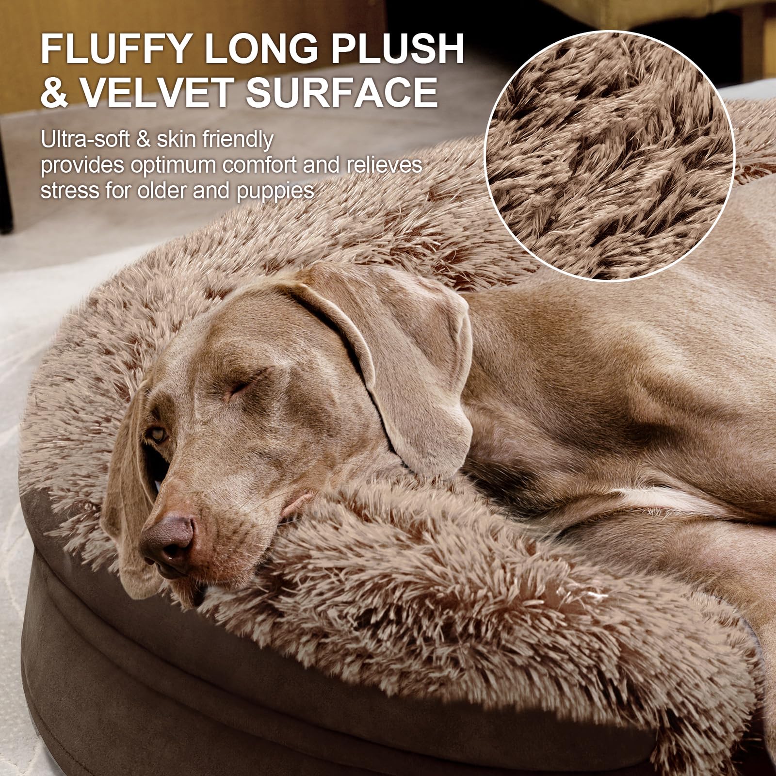 Iweepet removable washable cover for quick cleaning and freshness.