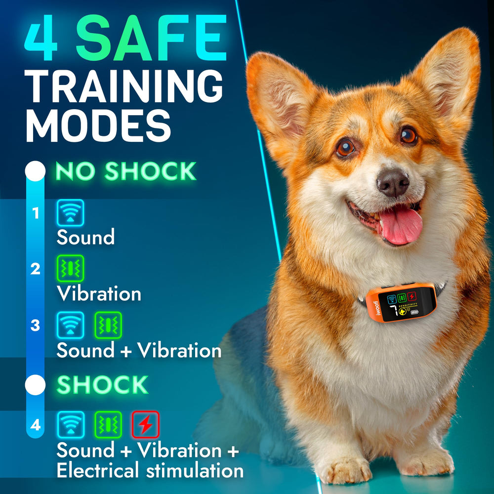 IWOOFI bark collar on dog during fit check for comfortable everyday wear