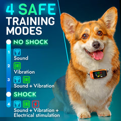 IWOOFI bark collar on dog during fit check for comfortable everyday wear